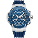 Alvar Pagani® Circuit